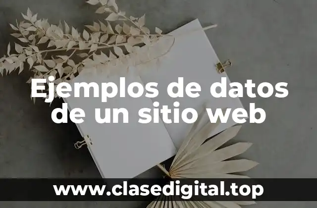 Ejemplos de datos de un sitio web