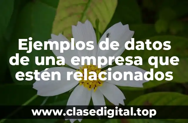 Ejemplos de datos de una empresa que estén relacionados