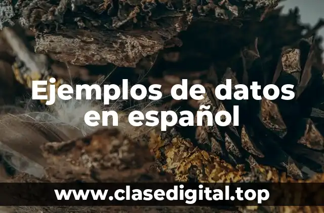 Ejemplos de datos