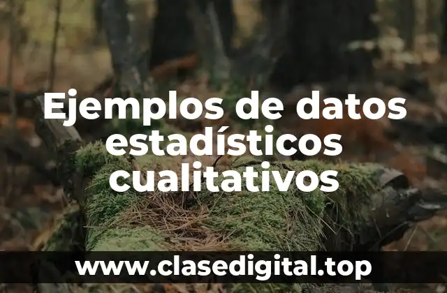Ejemplos de datos estadísticos cualitativos