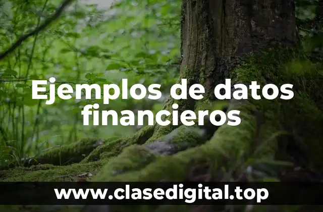 Ejemplos de datos financieros