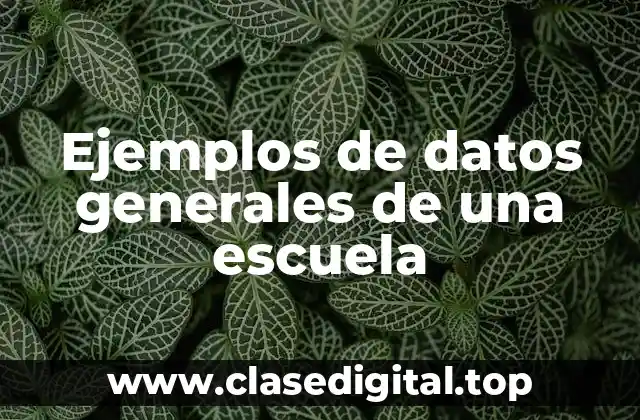 Ejemplos de datos generales de una escuela