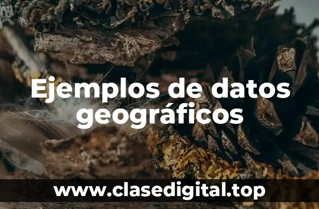 Ejemplos de datos geográficos