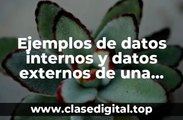 Ejemplos de datos internos y datos externos de una empresa