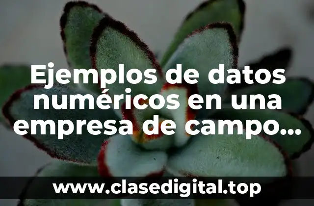 Ejemplos de datos numéricos en una empresa de campo tecnico