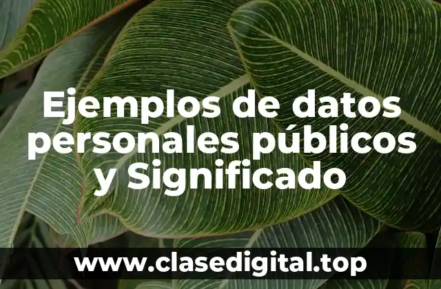 Ejemplos de datos personales públicos y Significado