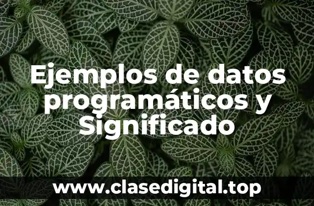 Ejemplos de datos programáticos y Significado