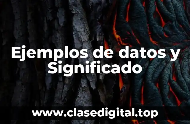 Ejemplos de datos y Significado
