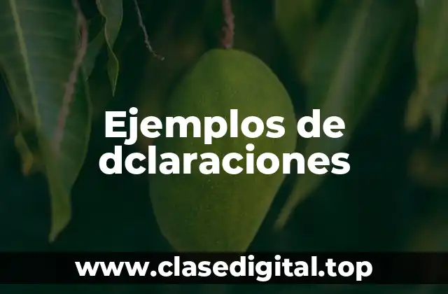 Ejemplos de dclaraciones
