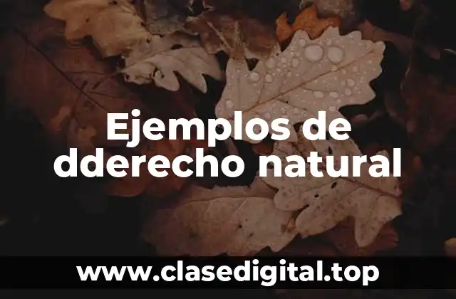 Ejemplos de derecho natural
