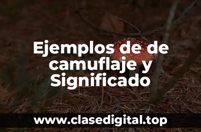 Ejemplos de de camuflaje y Significado