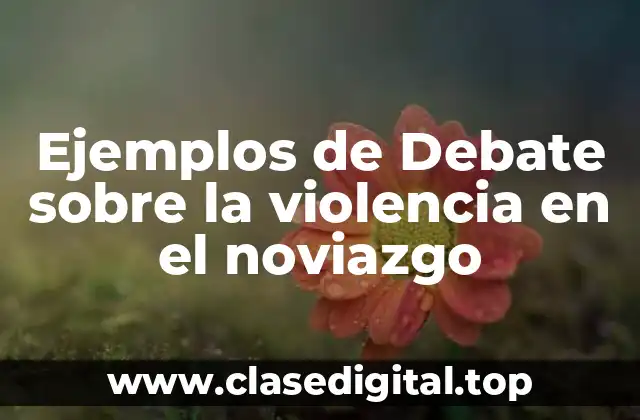 Ejemplos de Debate sobre la violencia en el noviazgo