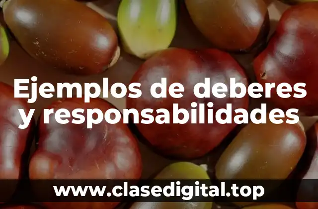Ejemplos de deberes y responsabilidades