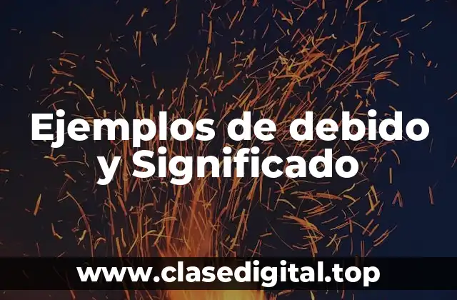 Ejemplos de debido y Significado