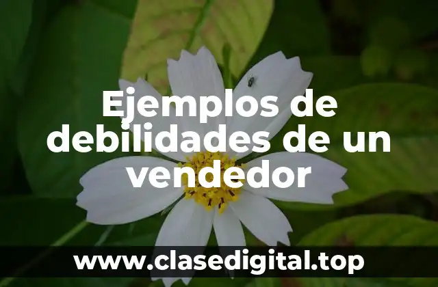 Ejemplos de debilidades de un vendedor