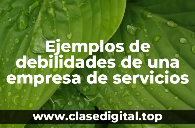 Ejemplos de debilidades de una empresa de servicios