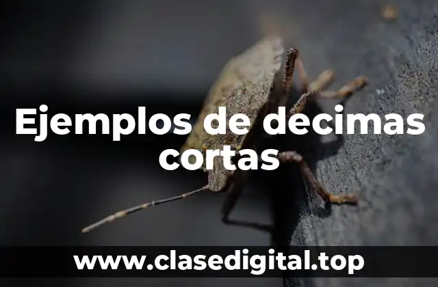Ejemplos de decimas cortas