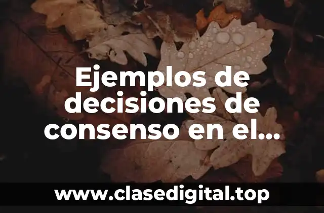 Ejemplos de decisiones de consenso en el mundo y Significado