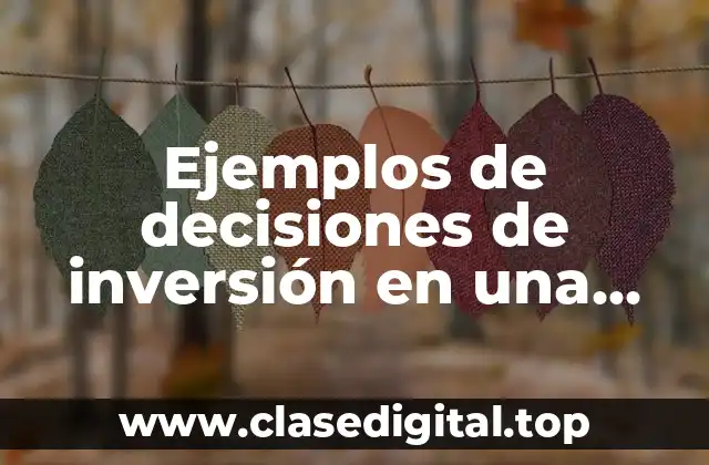 Ejemplos de decisiones de inversión en una empresa