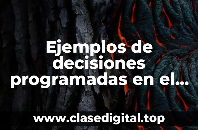 Ejemplos de decisiones programadas en el municipio de Tlaxcala