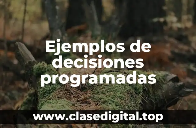 Ejemplos de decisiones programadas
