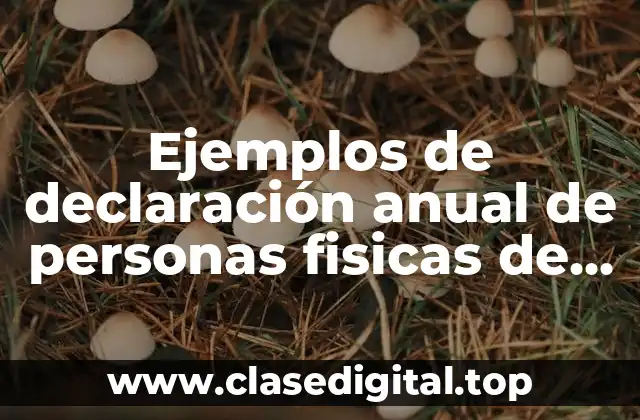 Ejemplos de declaración anual de personas fisicas de varios ingresos