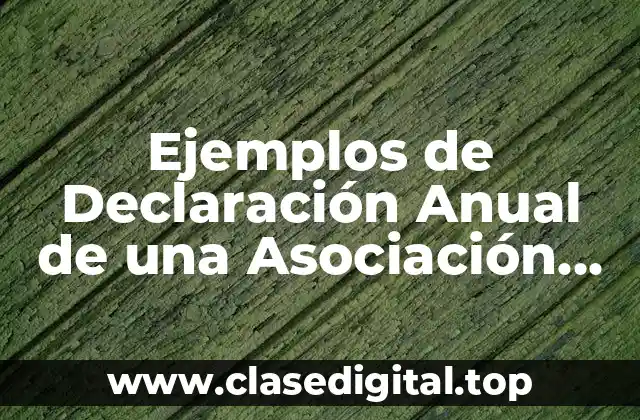 Ejemplos de Declaración Anual de una Asociación Religiosa