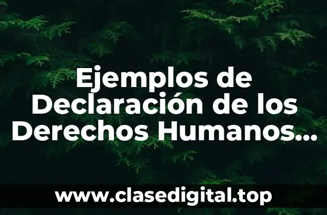 Ejemplos de Declaración de los Derechos Humanos con Imágenes
