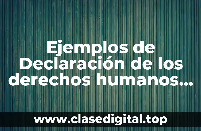 Ejemplos de Declaración de los derechos humanos universales y Significado