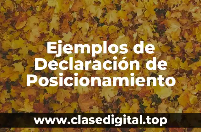 Ejemplos de Declaración de Posicionamiento