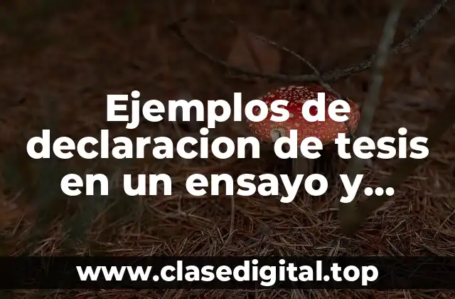 Ejemplos de declaracion de tesis en un ensayo