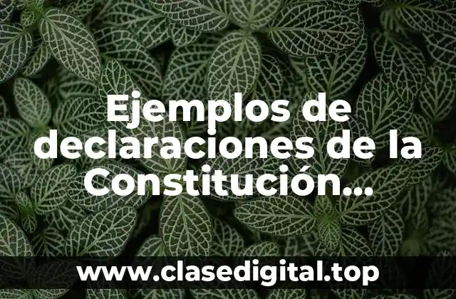 Ejemplos de declaraciones de la Constitución Argentina