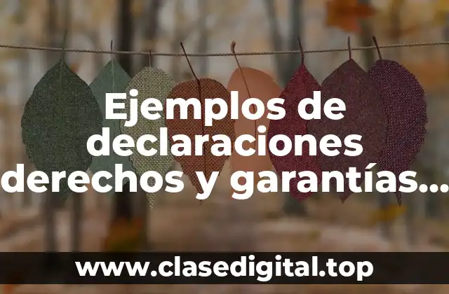 Ejemplos de declaraciones derechos y garantías y Significado