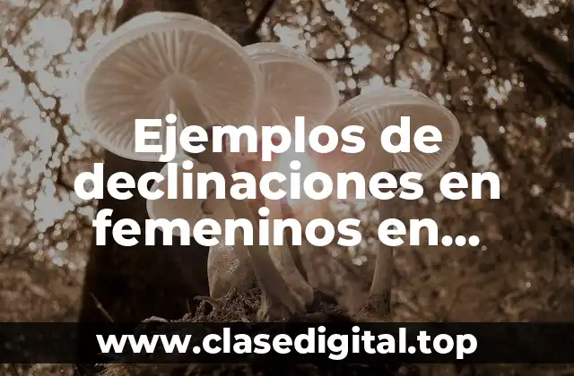 Ejemplos de declinaciones en femeninos en singular y plural