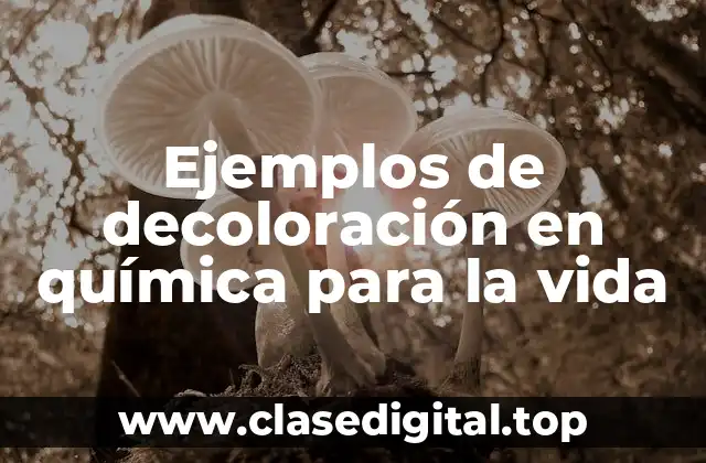 Ejemplos de decoloración en química para la vida