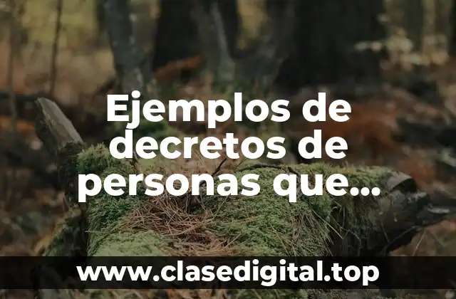 Ejemplos de decretos de personas que pueden emitir los decretos y Significado