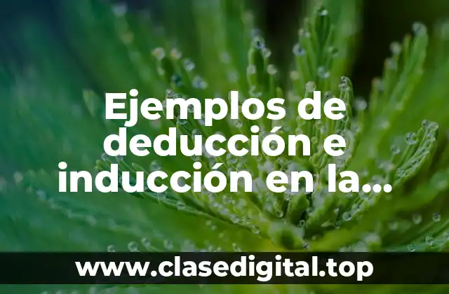 Ejemplos de deducción e inducción en la escuela