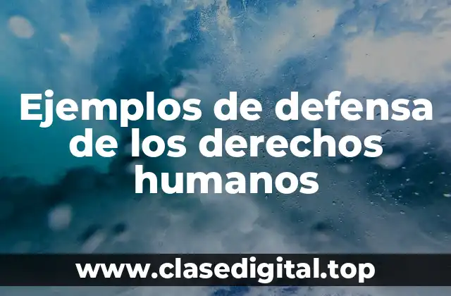 Ejemplos de defensa de los derechos humanos
