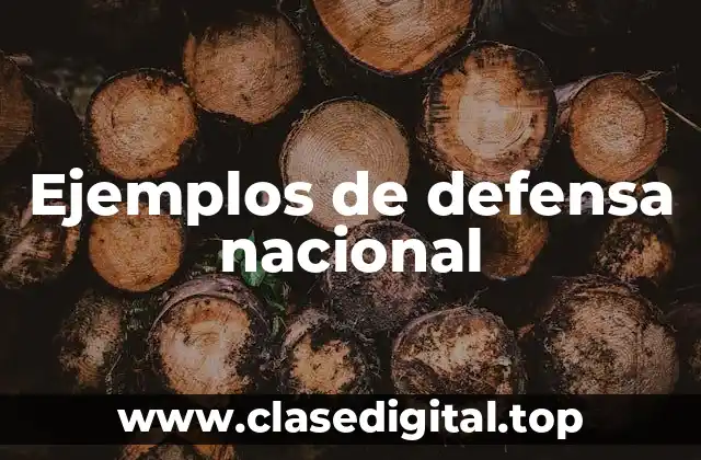 Ejemplos de defensa nacional