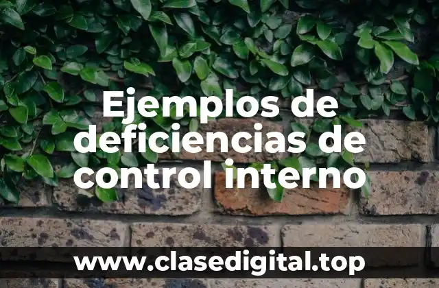 Ejemplos de deficiencias de control interno