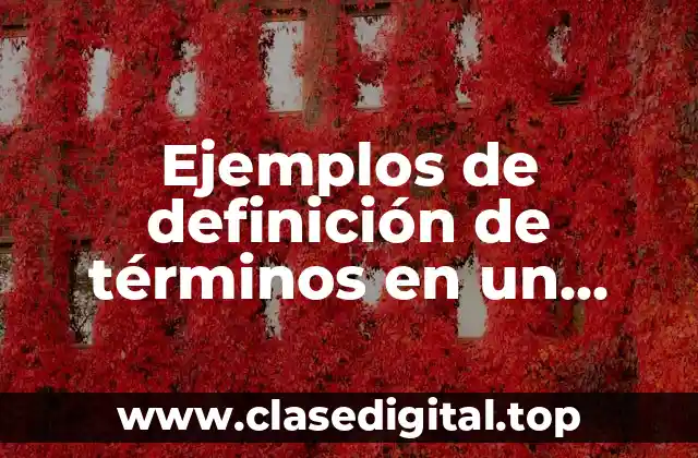 Ejemplos de definición de términos en un proyecto