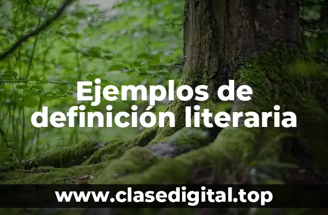 Ejemplos de definición literaria
