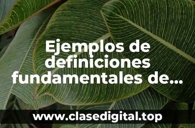 Ejemplos de definiciones fundamentales de experimentos resultados