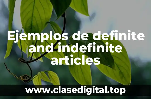 Ejemplos de definite and indefinite articles