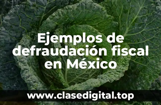 Ejemplos de defraudación fiscal en México