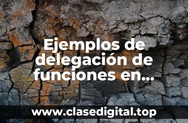 Ejemplos de delegación de funciones en procesos fabriles