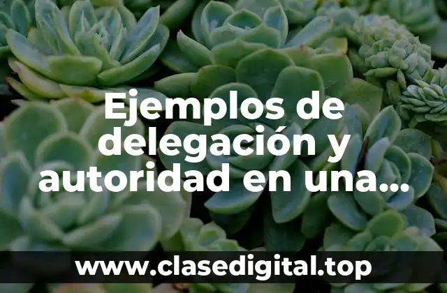 Ejemplos de delegación y autoridad en una empresa