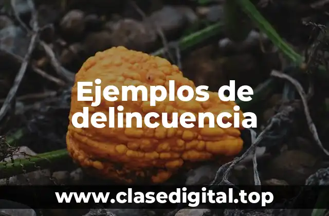 Ejemplos de delincuencia