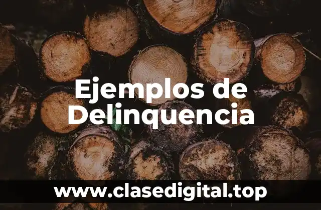 Ejemplos de Delinquencia