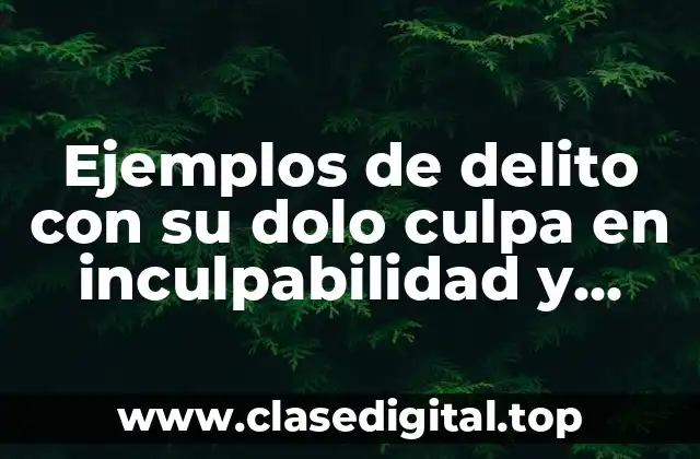 Ejemplos de delito con su dolo culpa en inculpabilidad y Significado